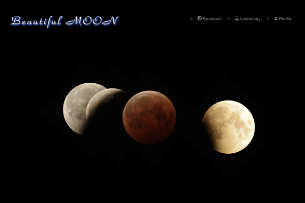 プロフィールコンテンツ