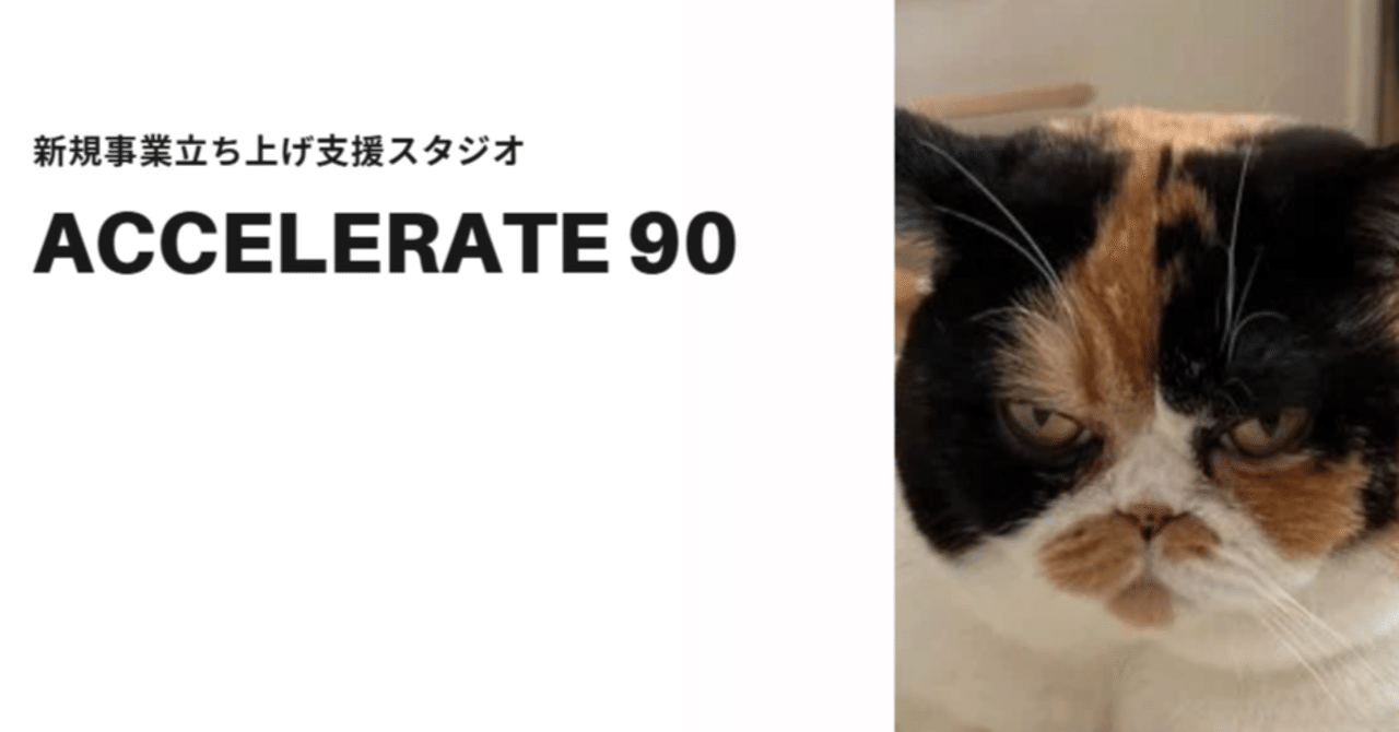 プロフィールコンテンツ