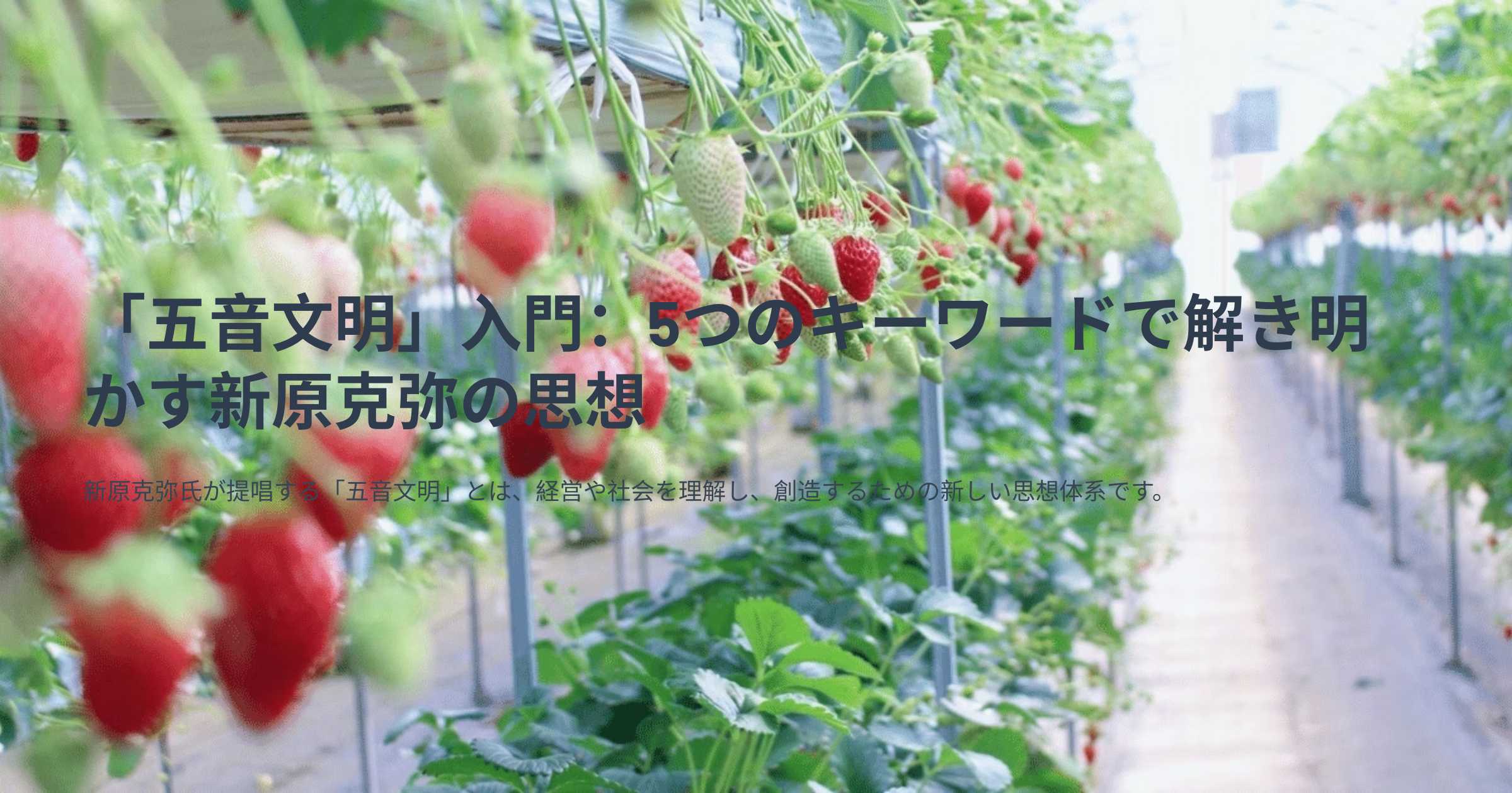 プロフィールコンテンツ