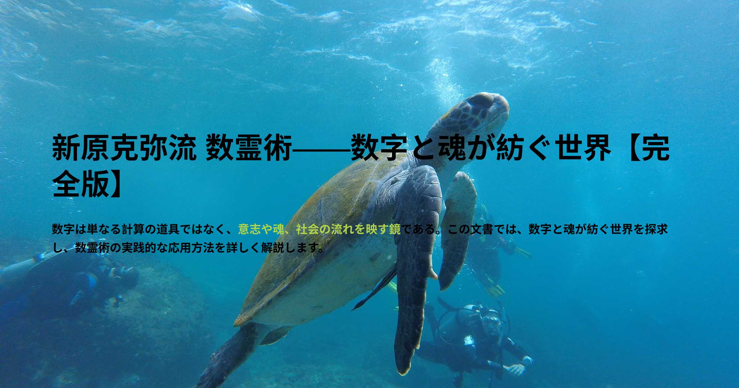 プロフィールコンテンツ