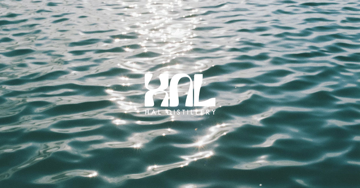 プロフィールコンテンツ