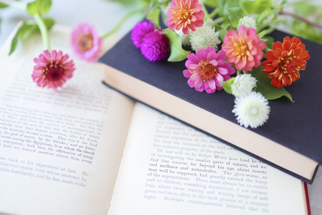 プロフィールコンテンツ