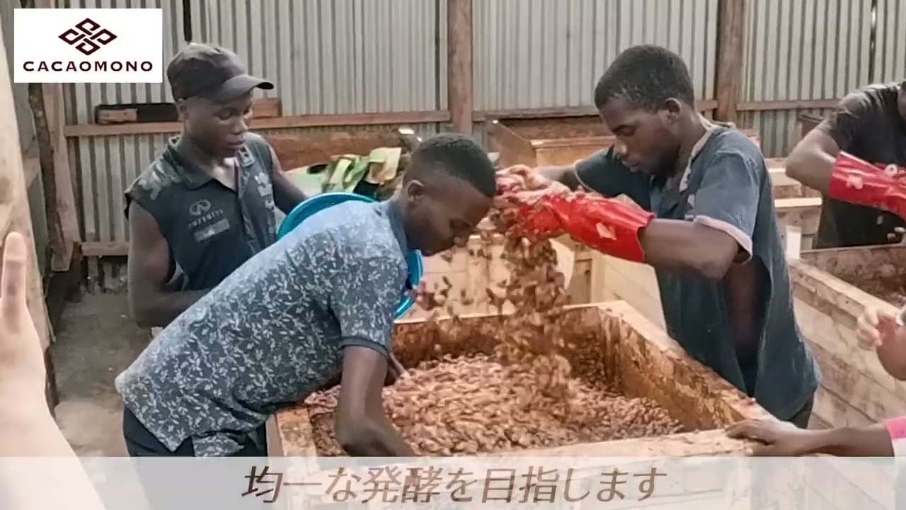 プロフィールコンテンツ