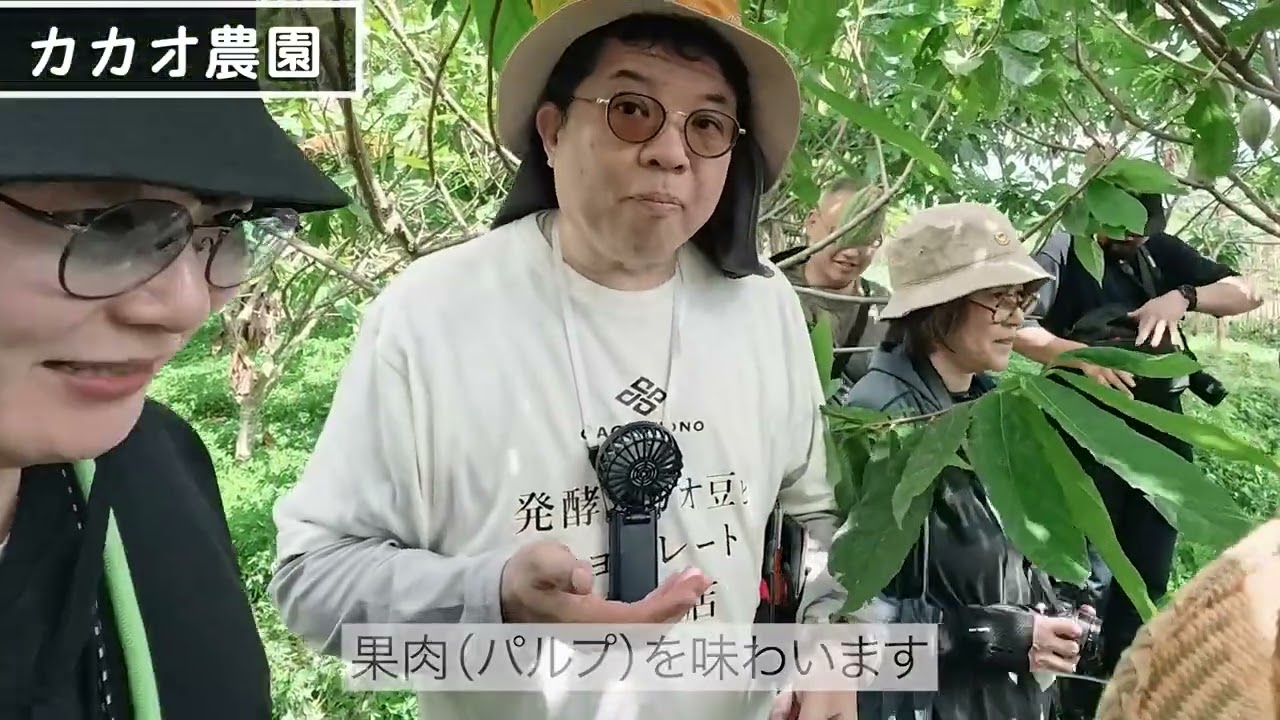 プロフィールコンテンツ