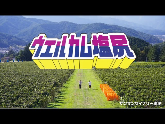 プロフィールコンテンツ